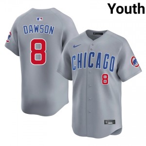 CHC Chicago Andre Dawson Gray #8 Youth New Jerseys 112831-375